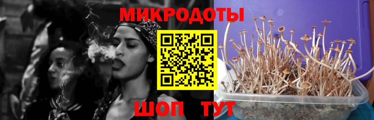 Псилоцибиновые грибы GOLDEN TEACHER  Галлюциногенные грибы Psilocybe  Вход с VPN  Новоуральск 